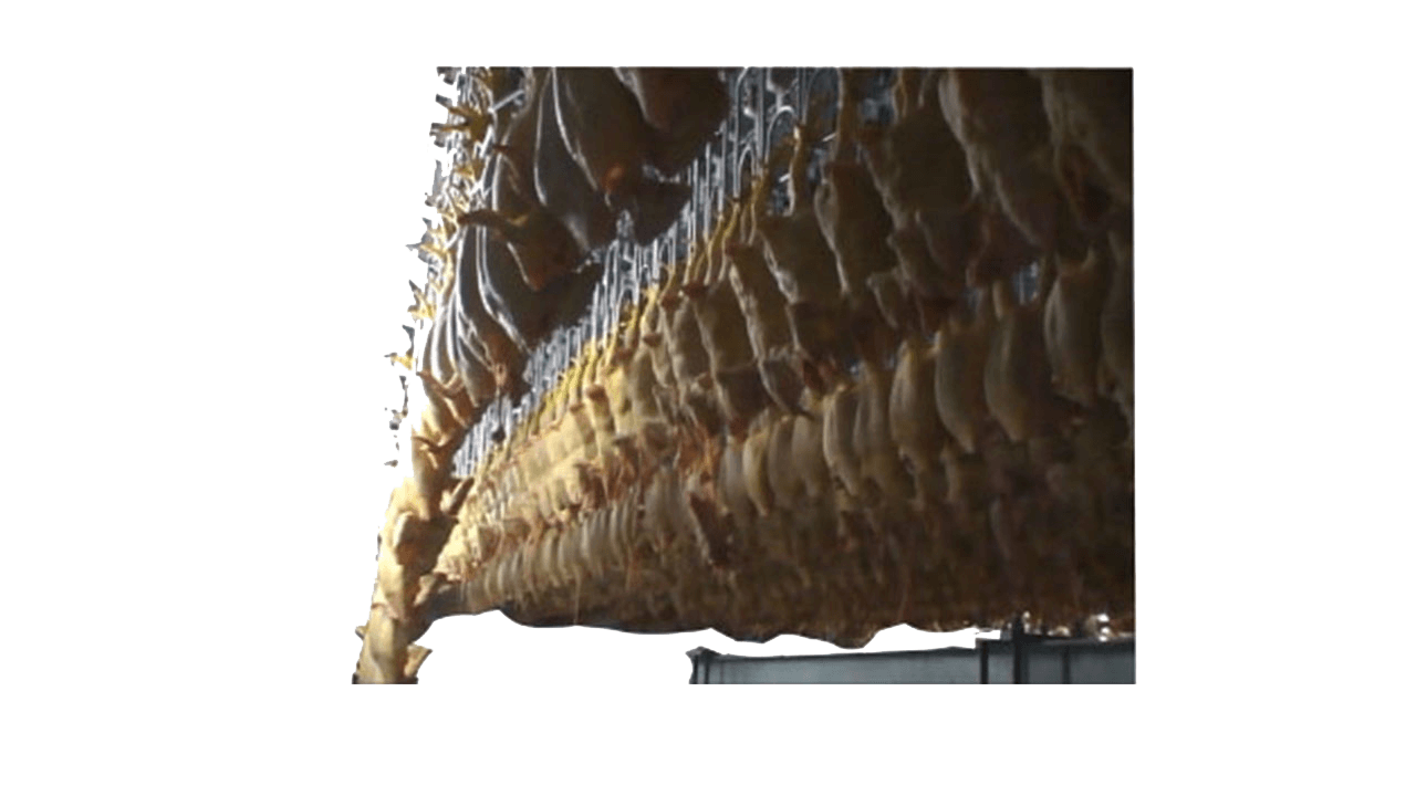 MONOSHACKLE AIR CHILLER