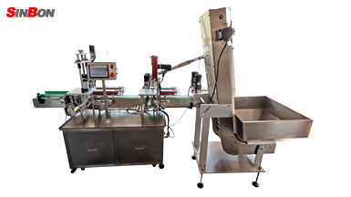 Auto Servo Capping Machine